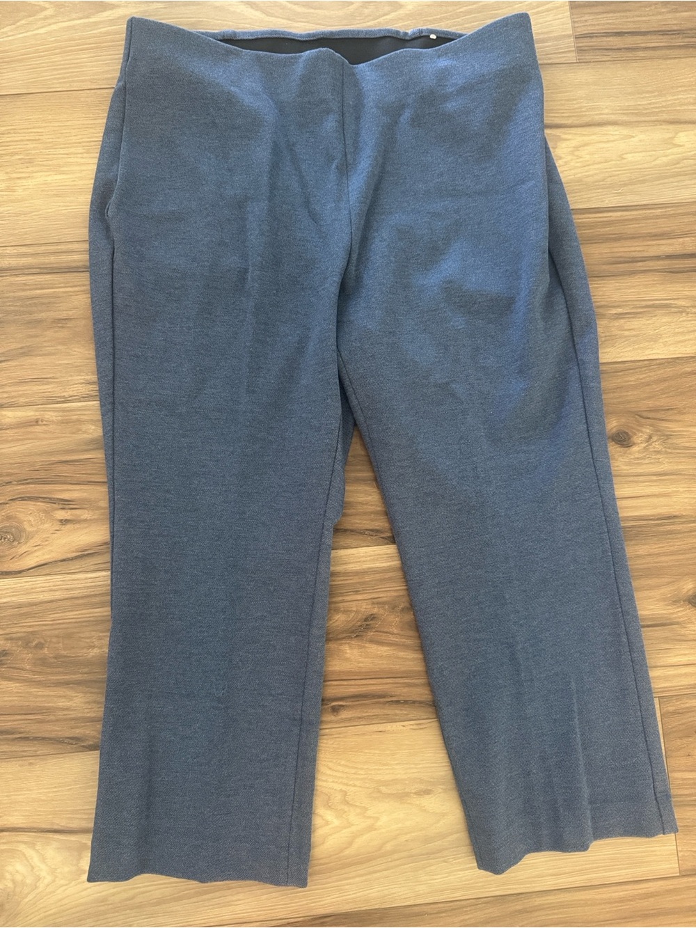 Talbots Plus Petite Straight Leg, Pull-on Pants in Blue